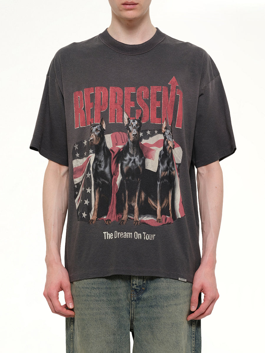 Dream On Tour T-Shirt in Sun Fade Grey
