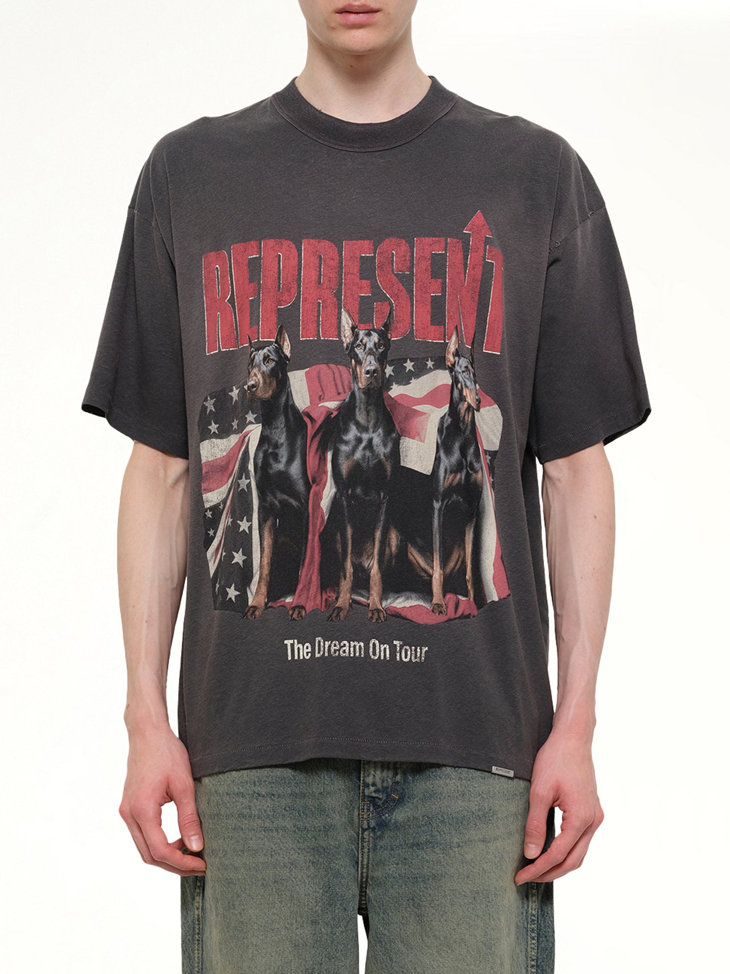 Dream On Tour T-Shirt in Sun Fade Grey