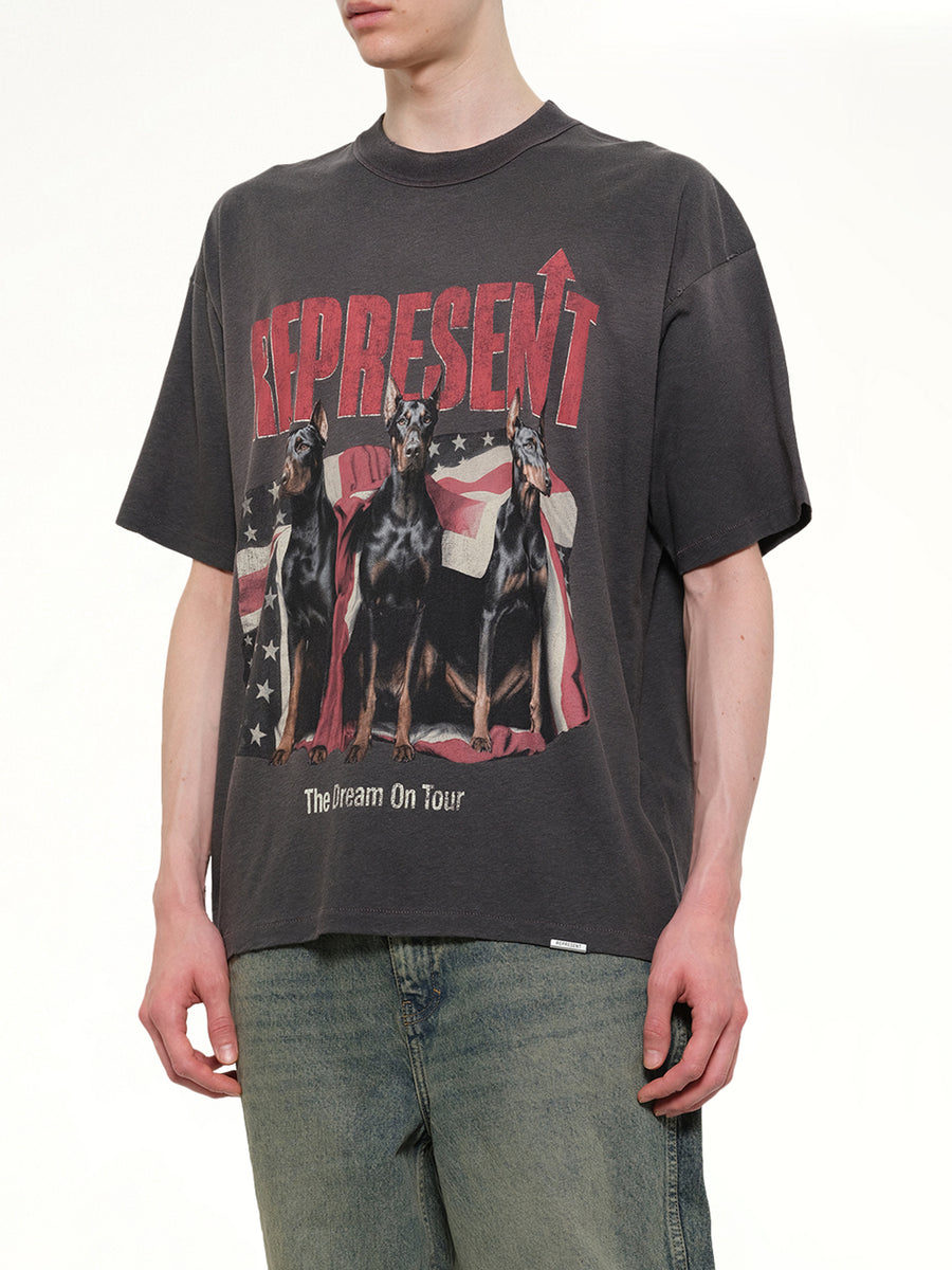 Dream On Tour T-Shirt in Sun Fade Grey