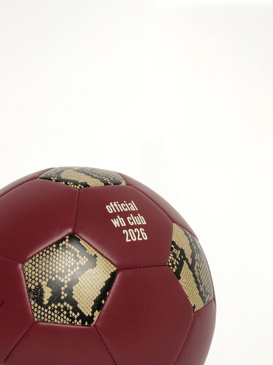 Adidas x Wales Bonner Football Ball in Cream White/Burgundy