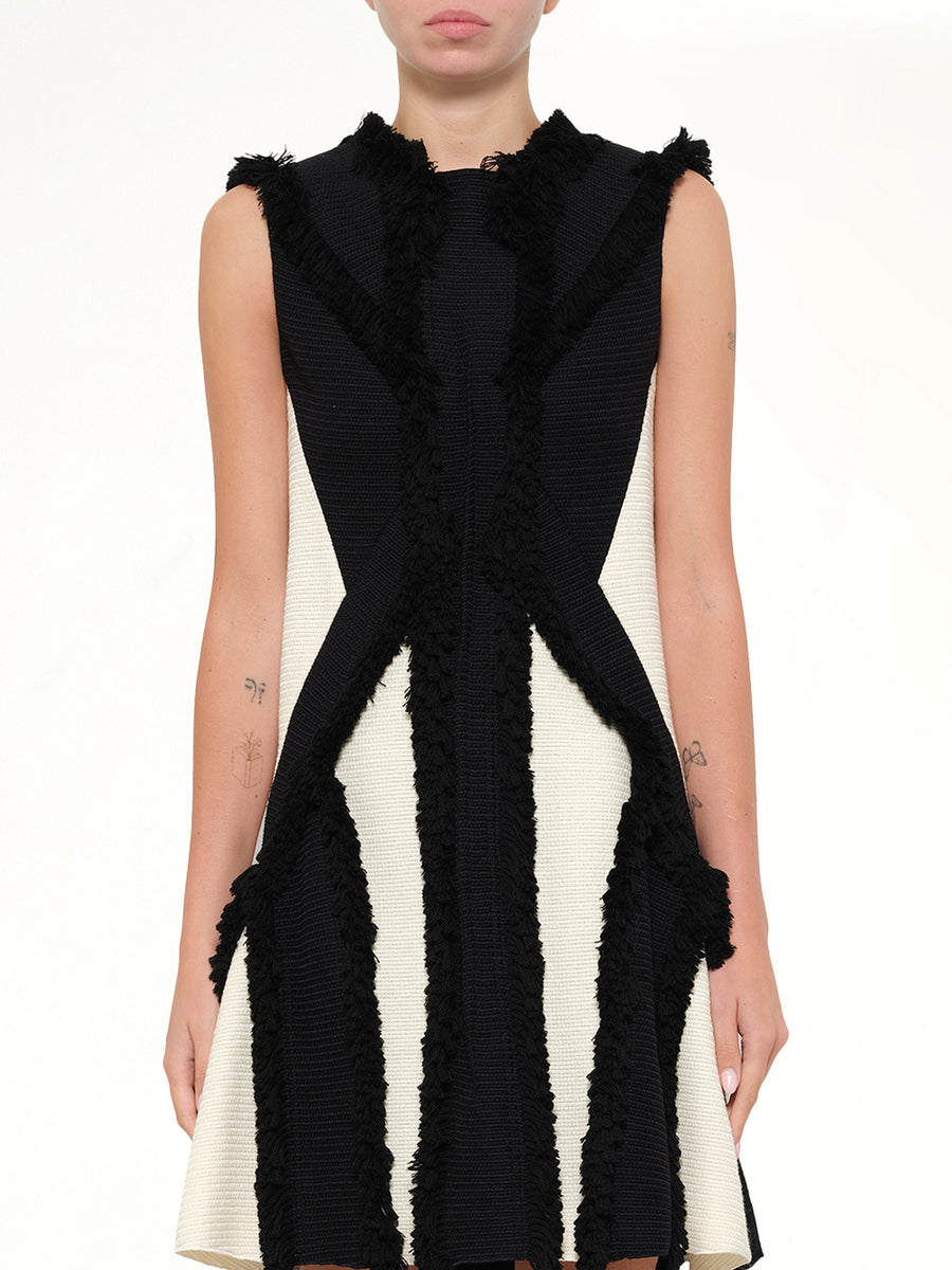 Lanvin Dress in Black/White