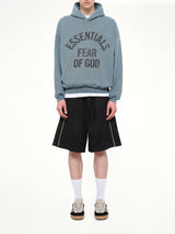 Campus 90's Hoodie in Faded Coastal