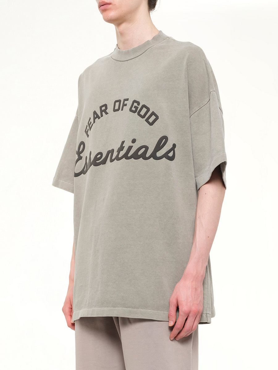 Training 90's Short Sleeve T-Shirt in Faded Seal