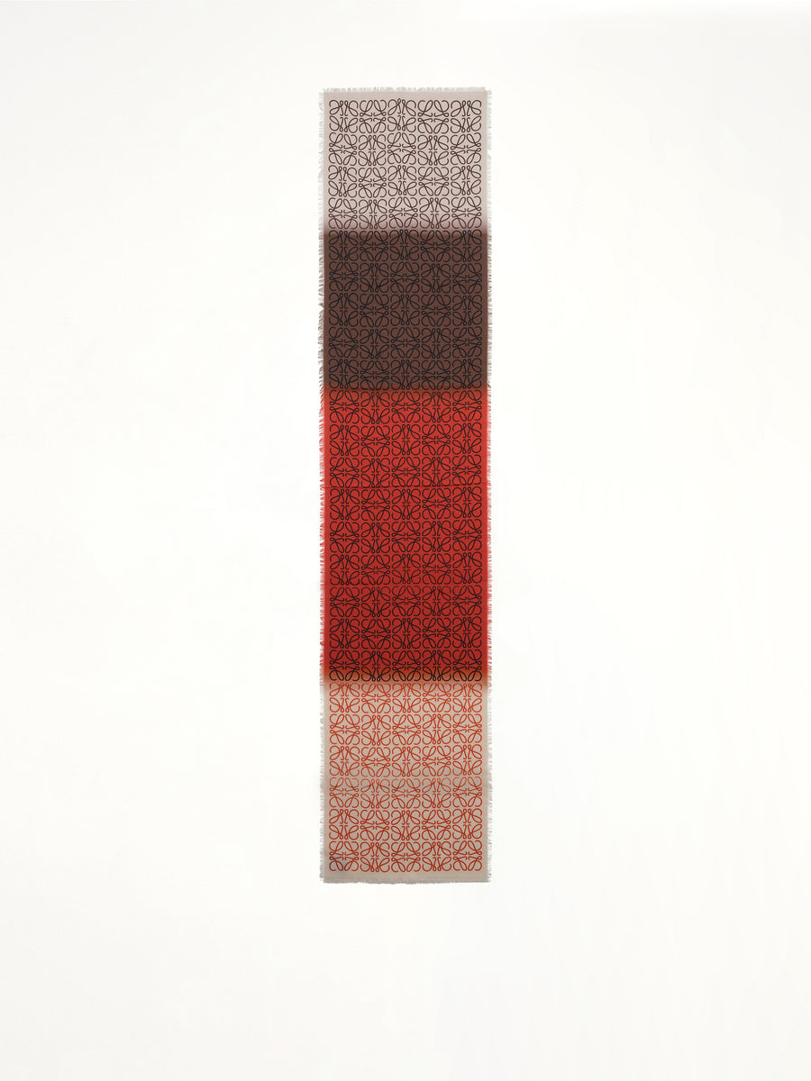 45X200 Anagram Scarf in Multicolour