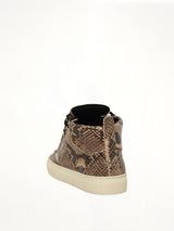 Arena High Python Sneakers  in Beige