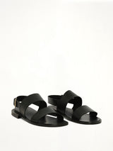 Colosseo Sandal in Black