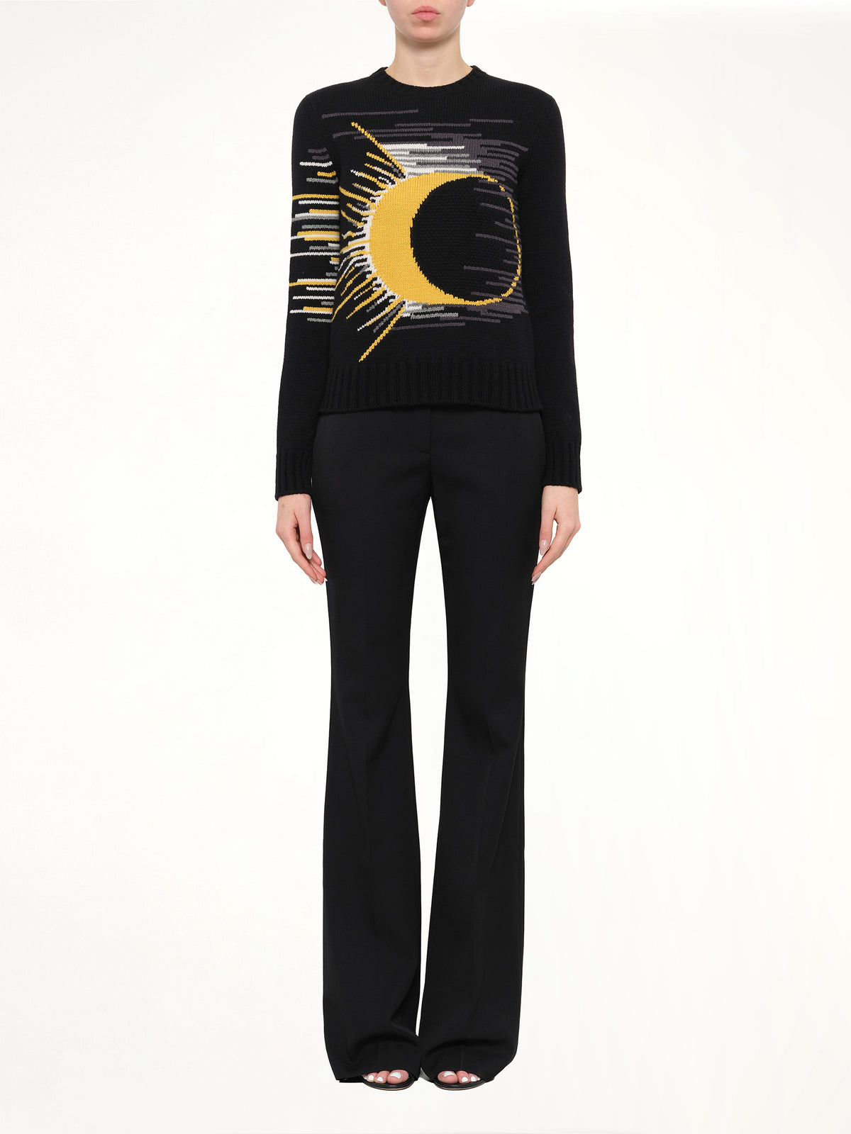 Alexander Mcqueen Pullover in Multicolour