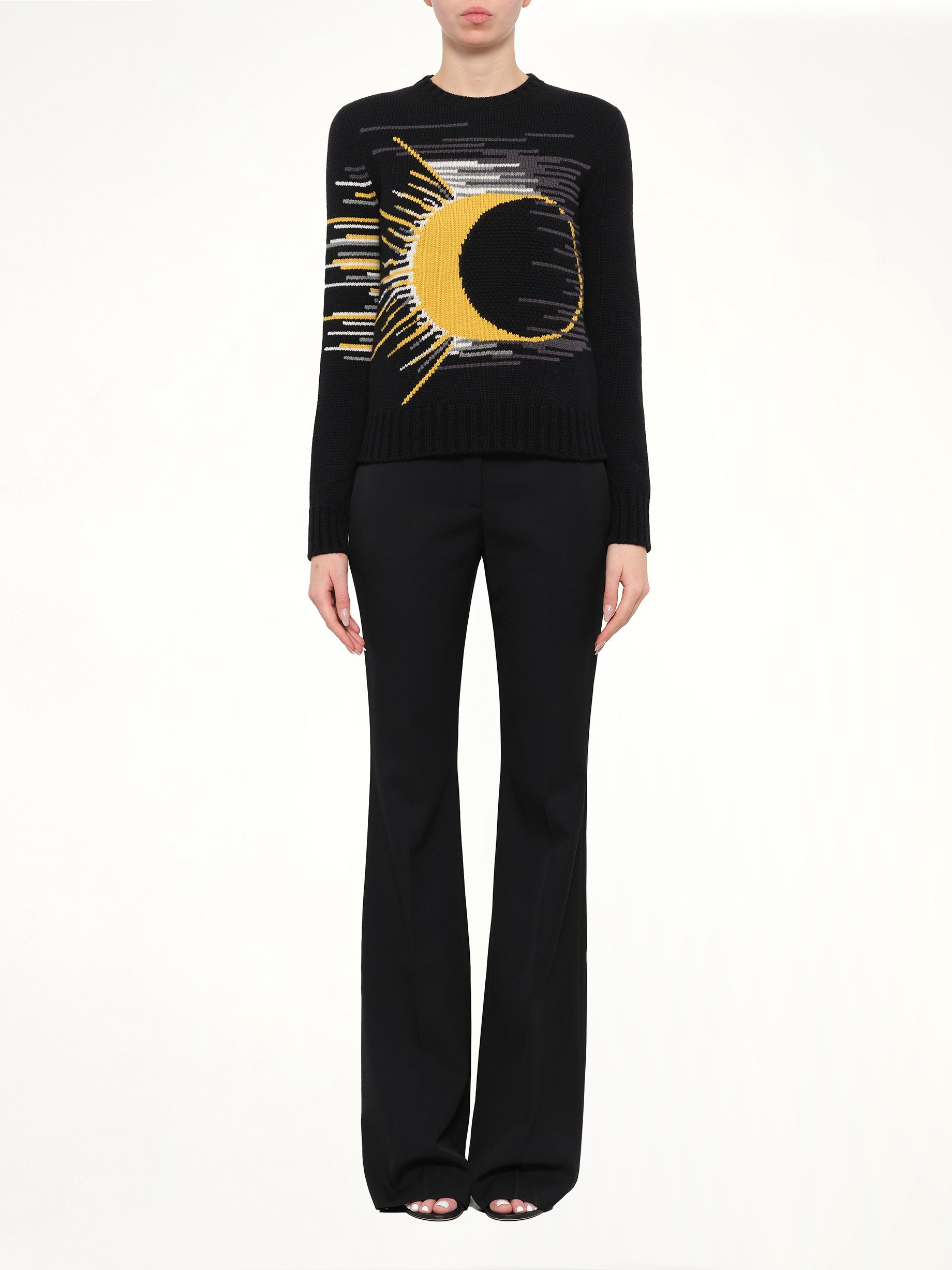 Alexander Mcqueen Pullover in Multicolour