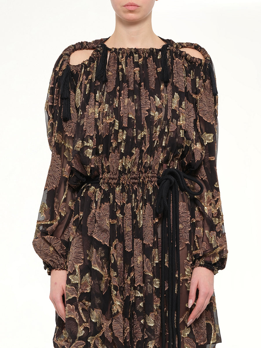 Lanvin Dress in Brown