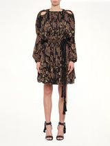 Lanvin Dress in Brown