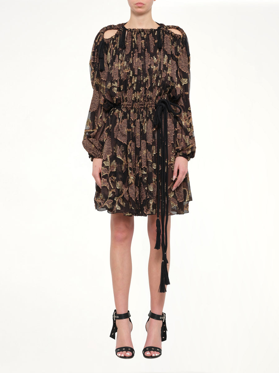 Lanvin Dress in Brown