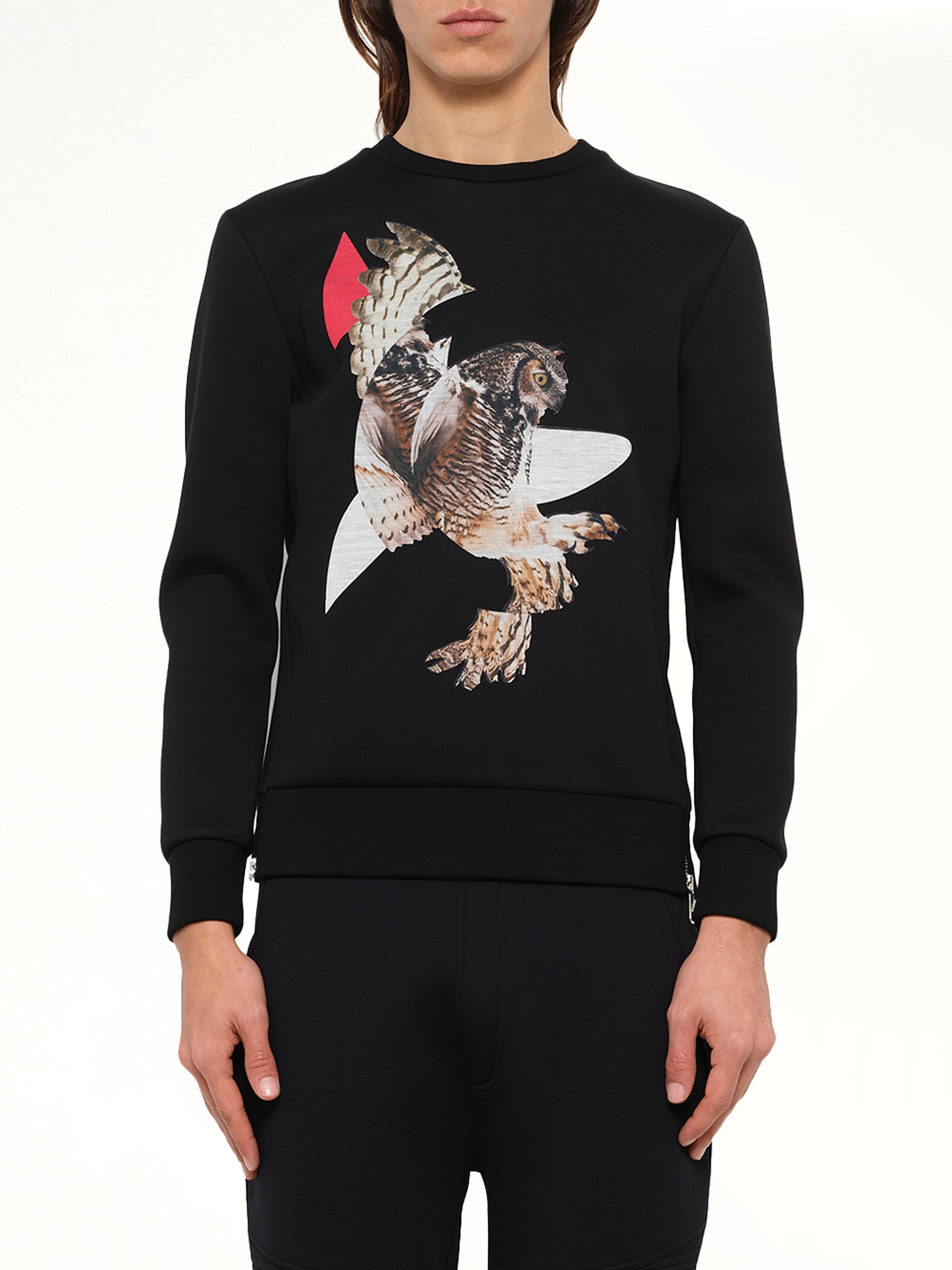 Owl Sweatshirt in Black