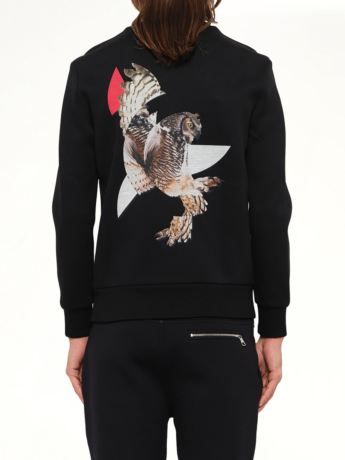 Owl Sweatshirt in Black
