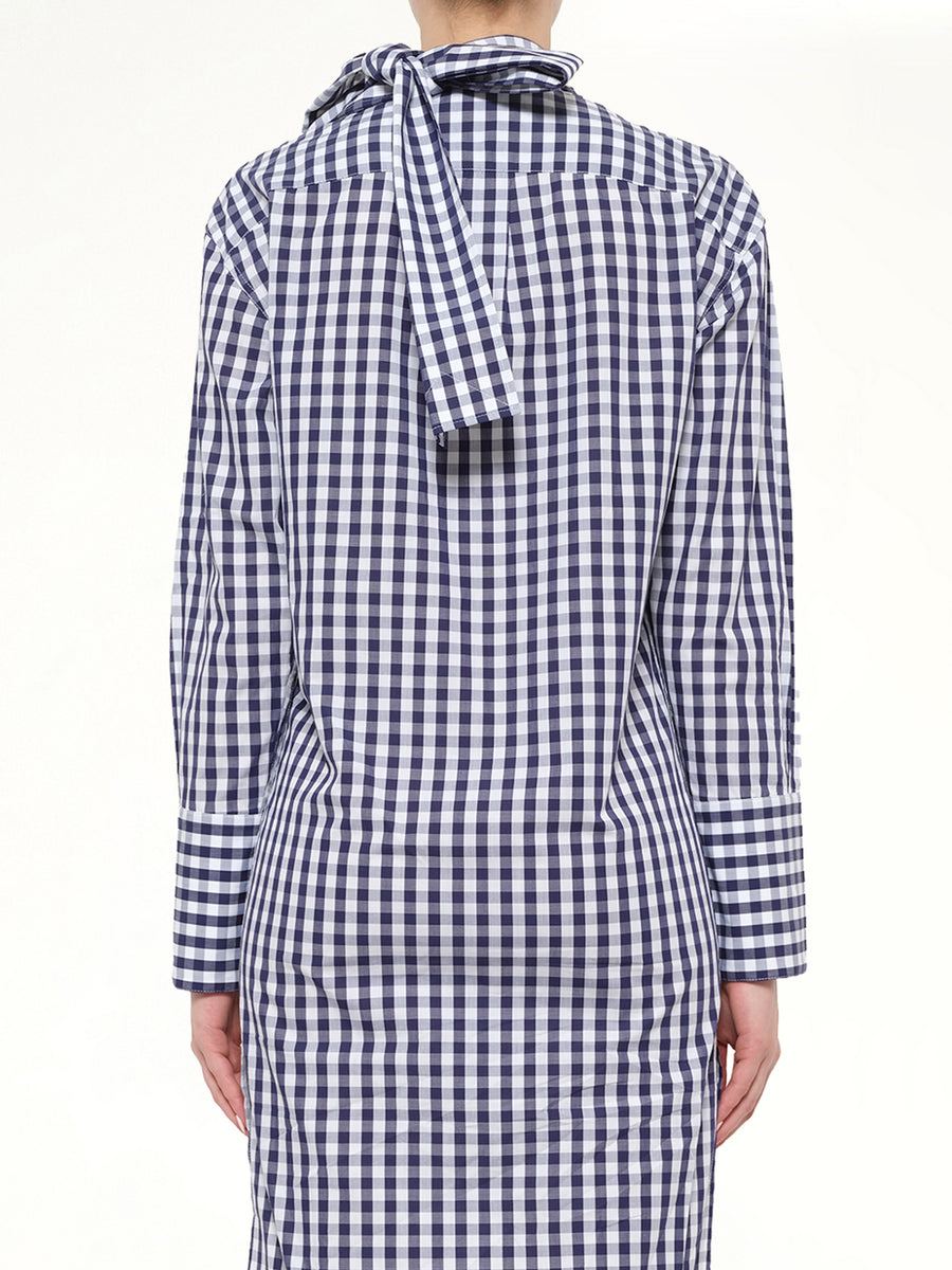 Gingham Shirt Dress in Blue