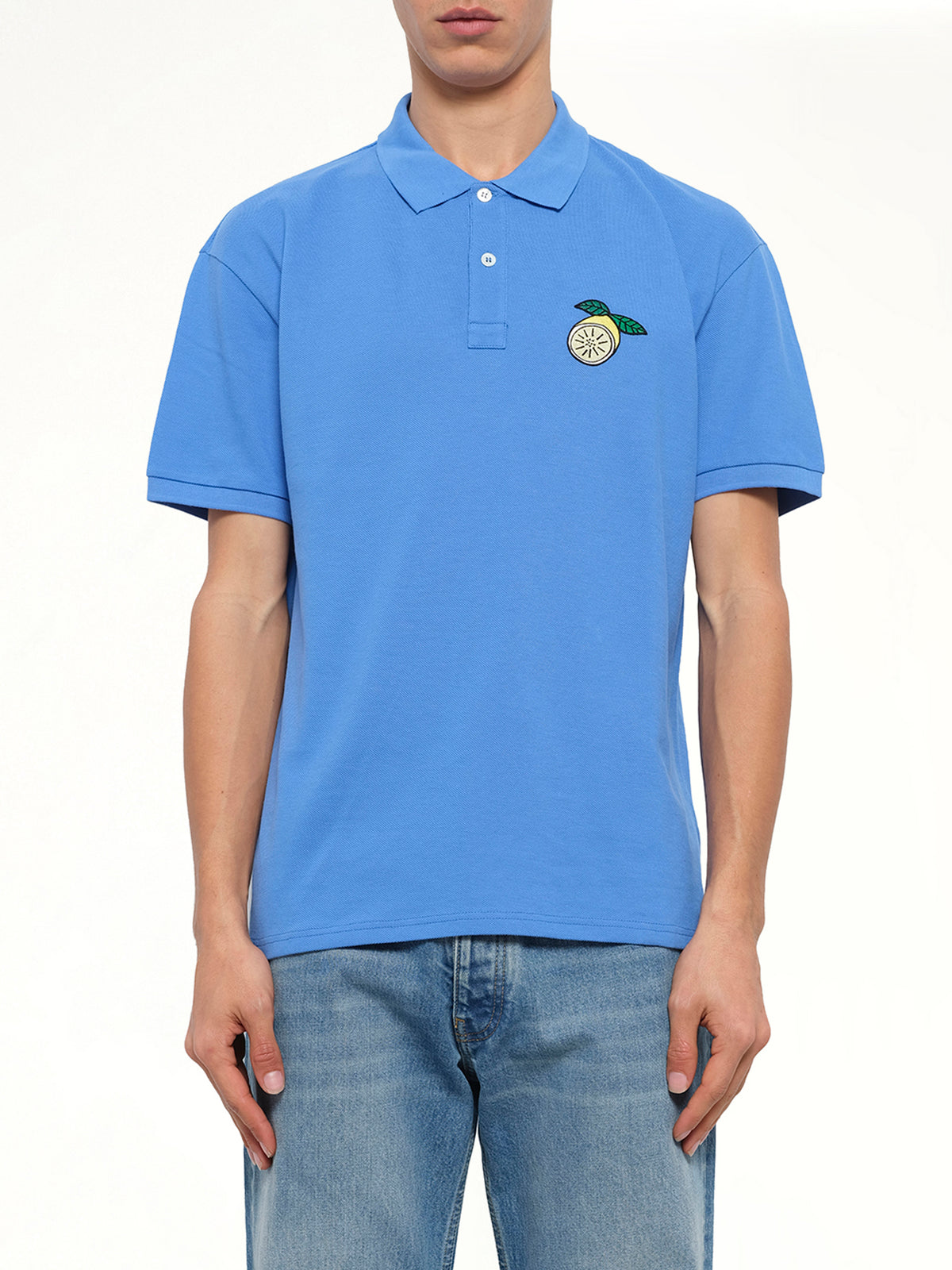 Fruits Emb Polo in Blue