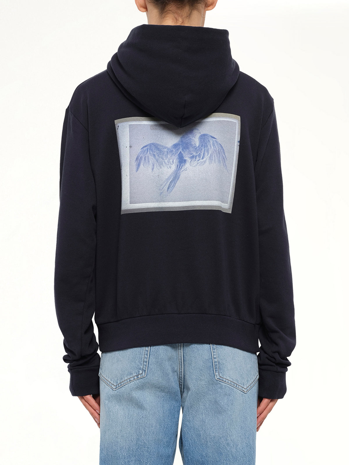 Bird Print Regular Hoodie in Blue