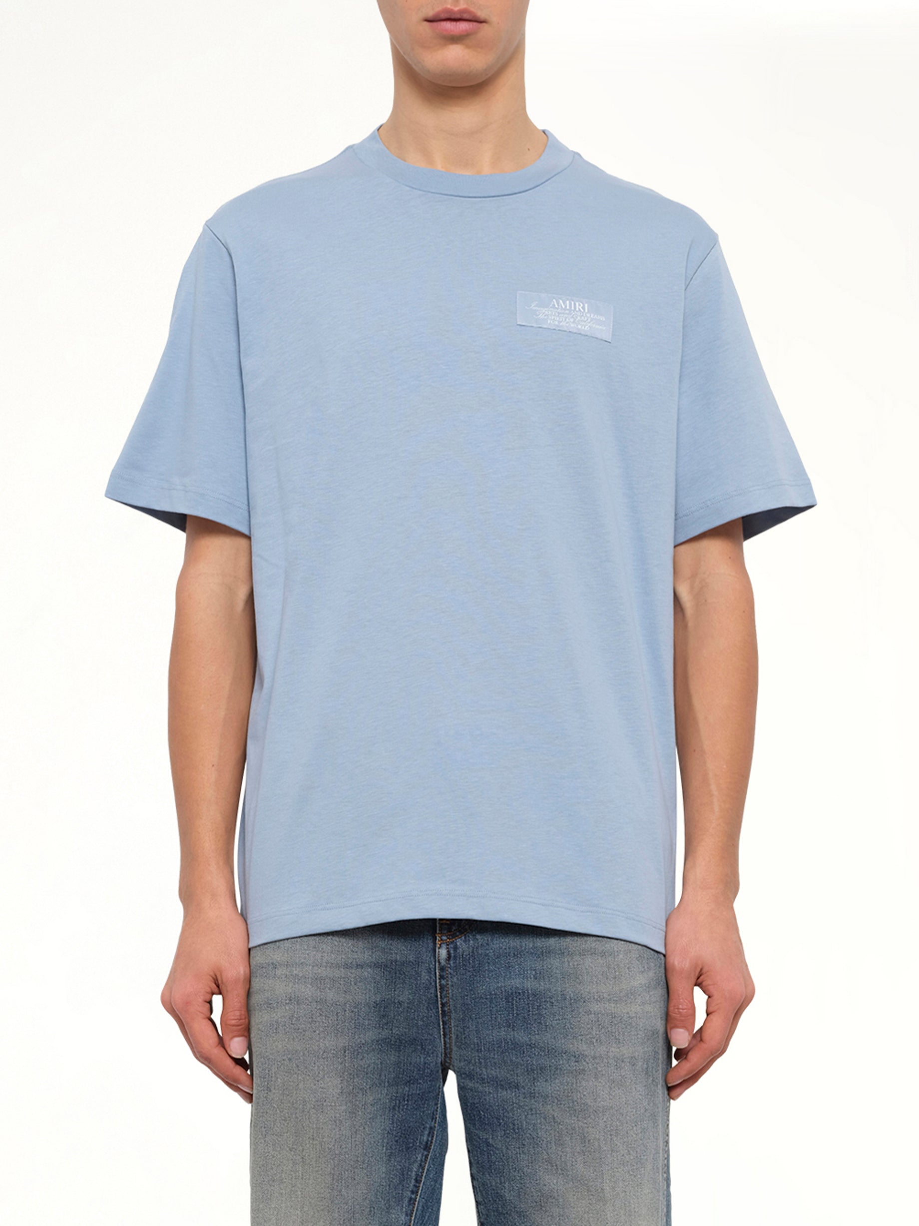 Spirit LJ Regular T-Shirt in Ashley Blue