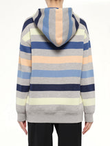 Long Sleeve Hooded Sweatshirt in Navy