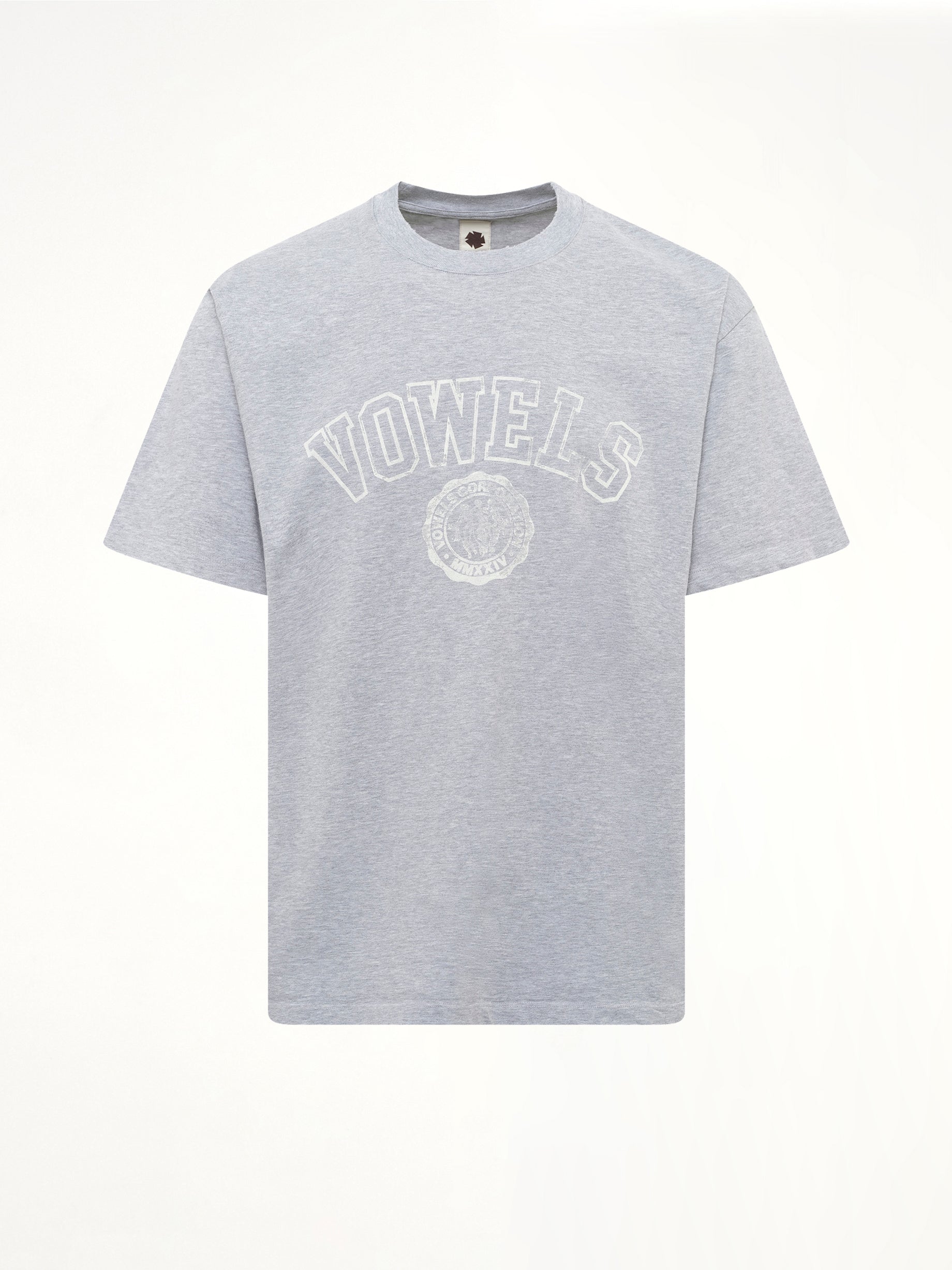 Faded Collegiate T-Shirt in Grey Heather