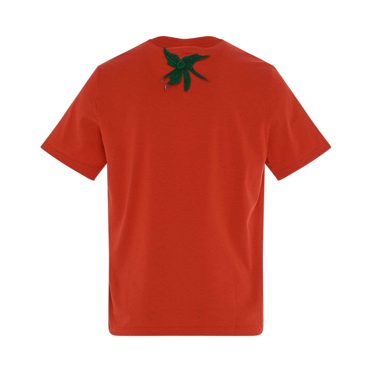 Vegetable Stem Embroidery T-Shirt in Tomato
