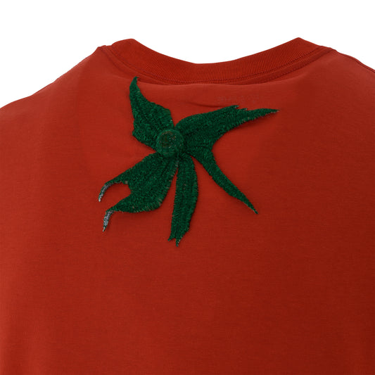 Vegetable Stem Embroidery T-Shirt in Tomato