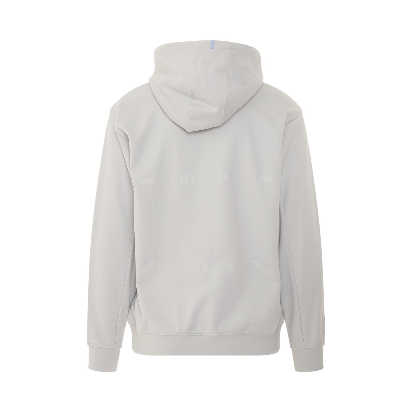 IC0 Embroidered Logo Hoodie in Alloy