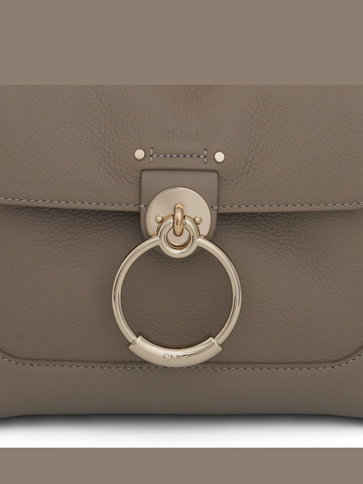 Mini Tess Day Bag in Grained & Shiny Calfskin in Motty Grey