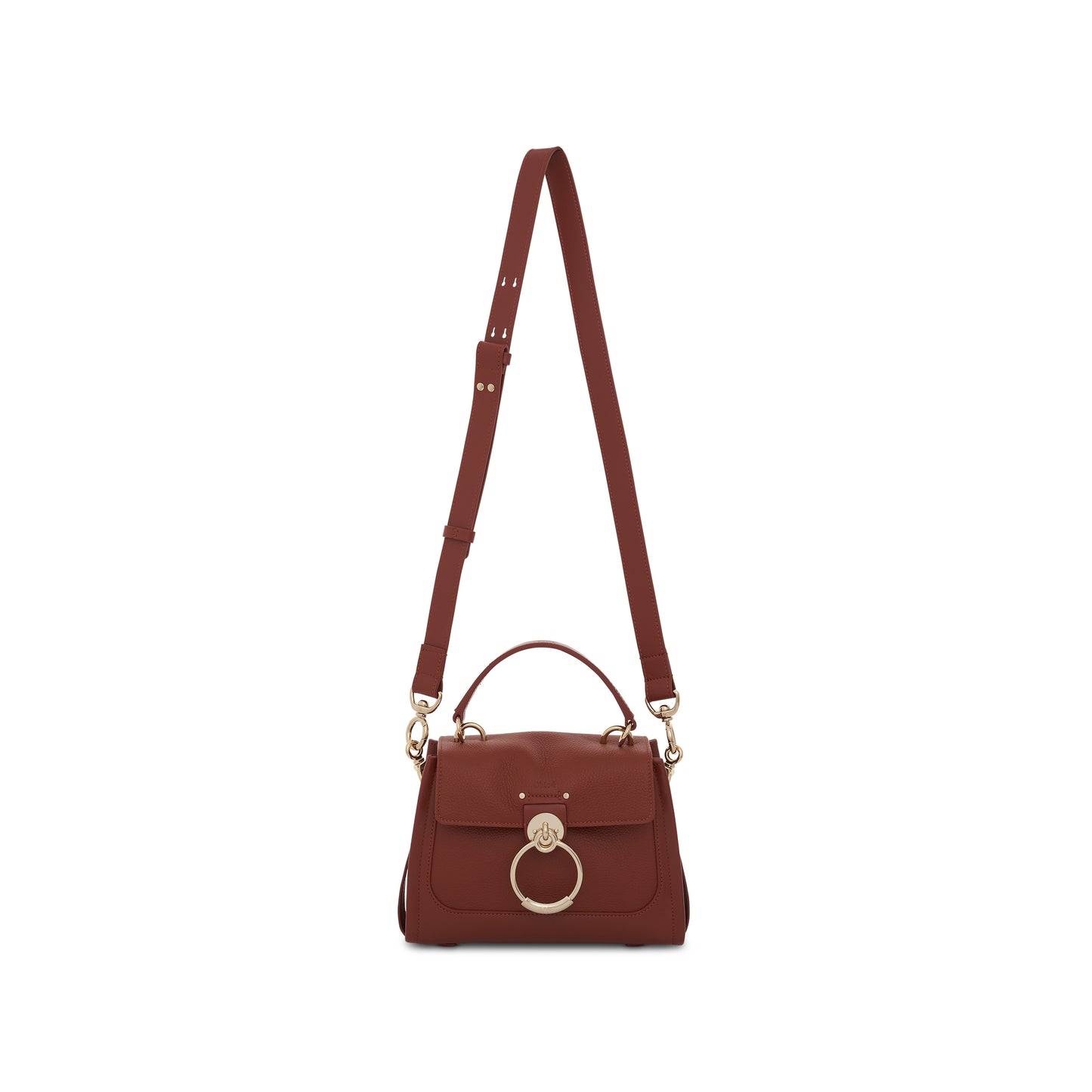 Mini Tess Day Bag in Grained & Shiny Calfskin in Sepia Brown