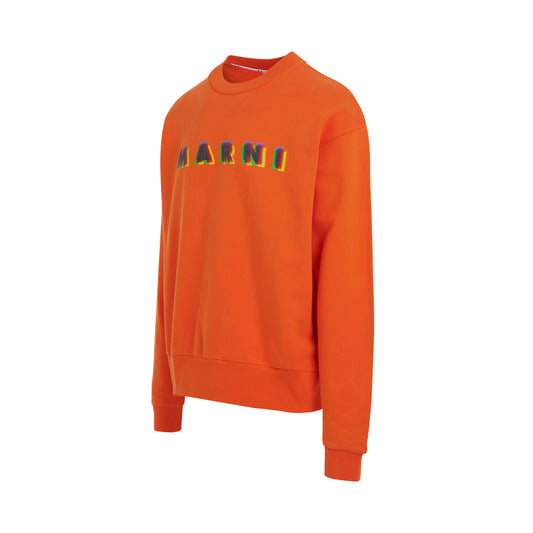 Logo Printed Crewneck Sweatshirt in Carrot