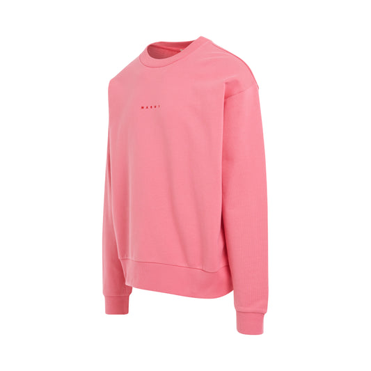 Classic Chest Logo Sweatshirt in Pink Candy