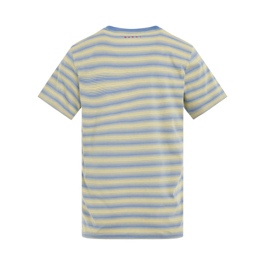 3 Pack Striped T-shirts in Citrine