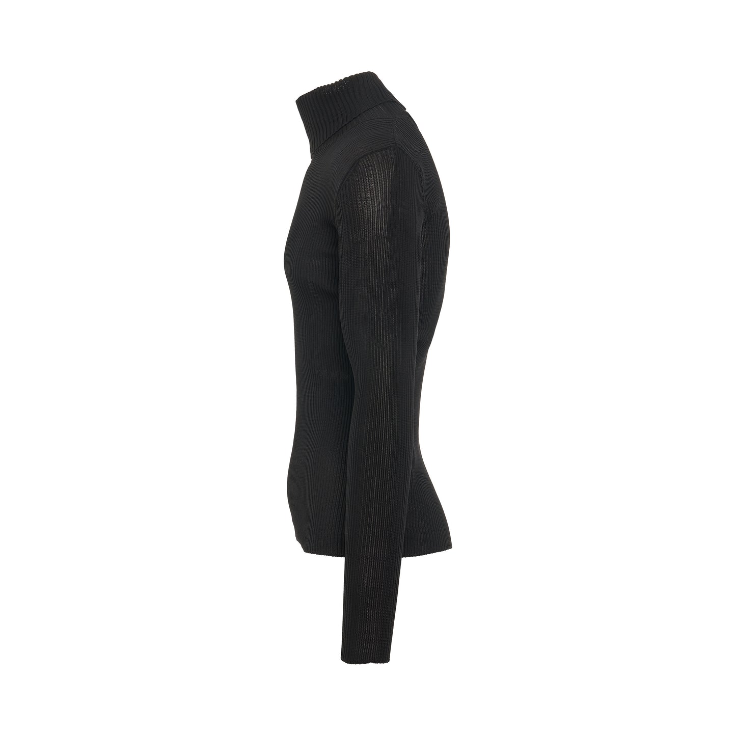 Helvetica Fine Knit Rib Turtleneck in Black