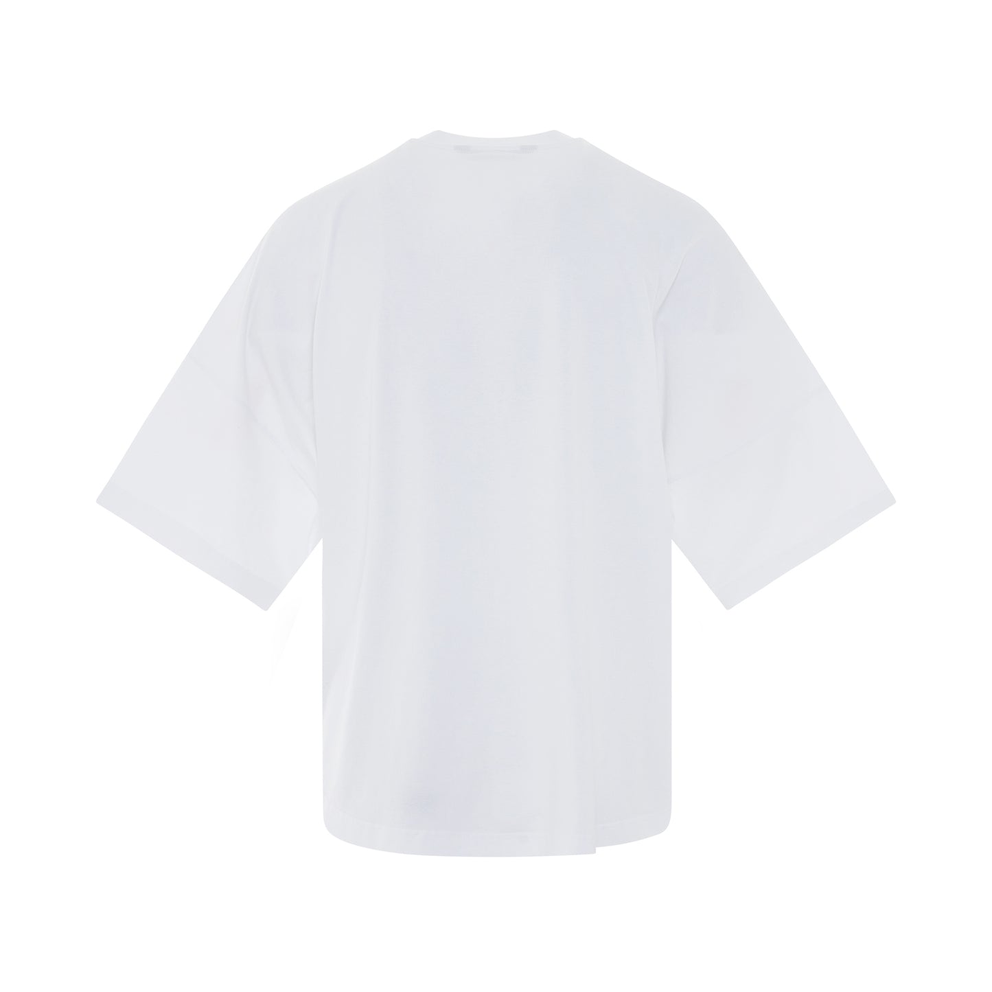 Seasonal Logo Over T-Shirt in White/Black