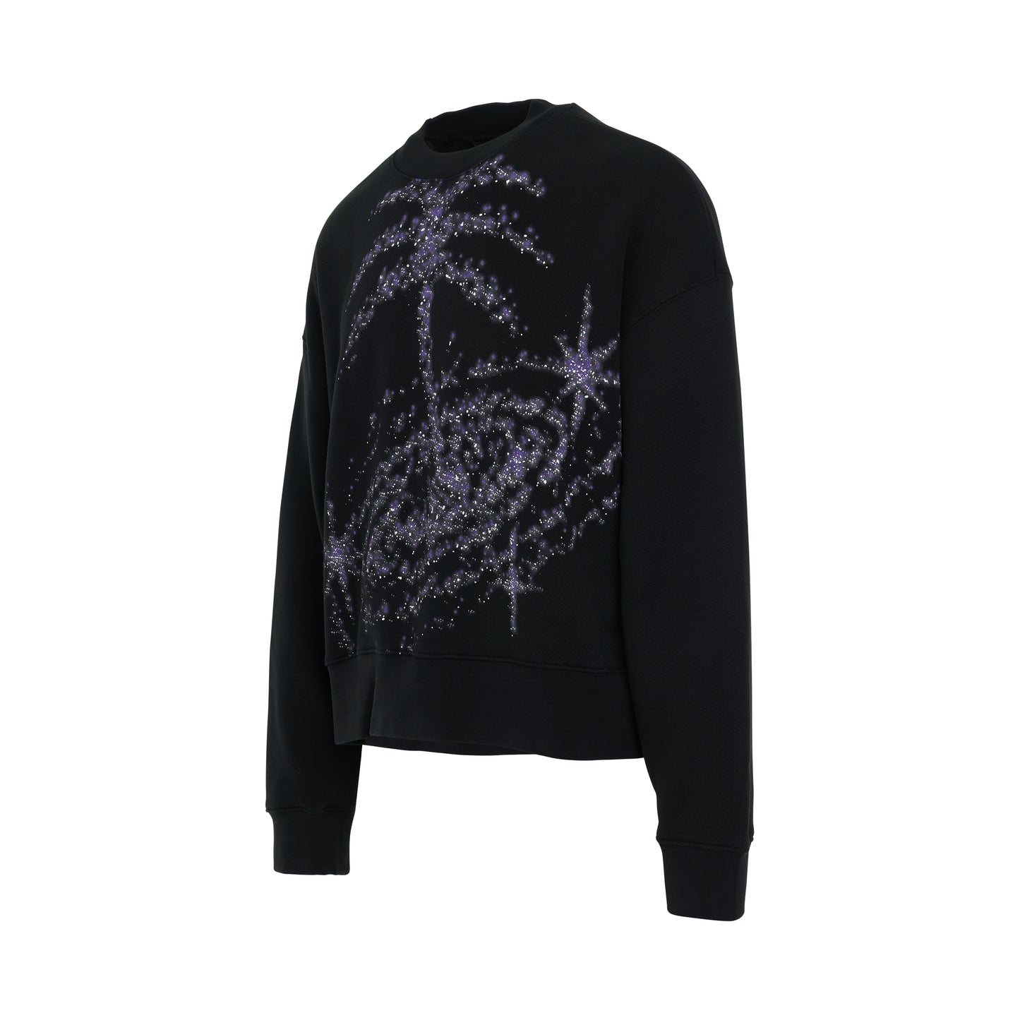 Palm Galaxy Sweatshirt in Black