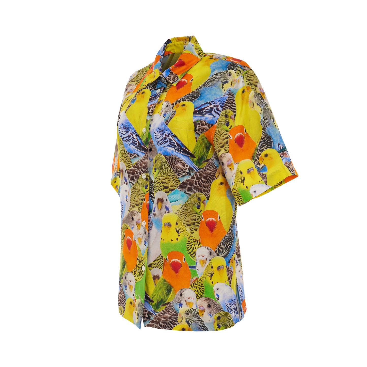 Parrots Print Silk Shirt in Orange