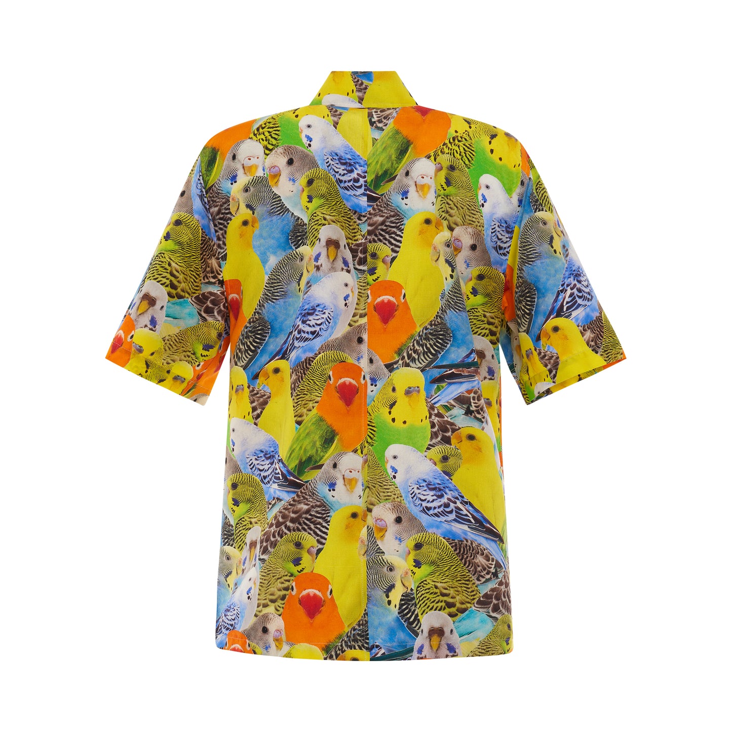 Parrots Print Silk Shirt in Orange