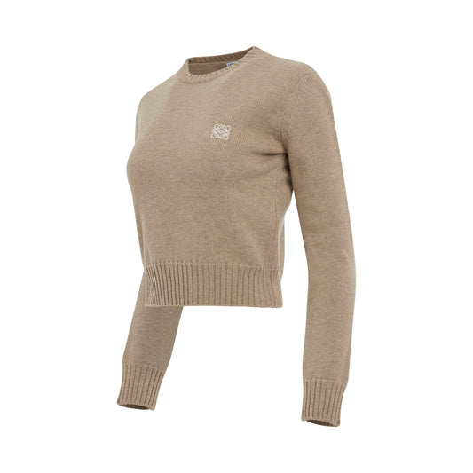 Anagram Cropped Wool Sweater in Camel