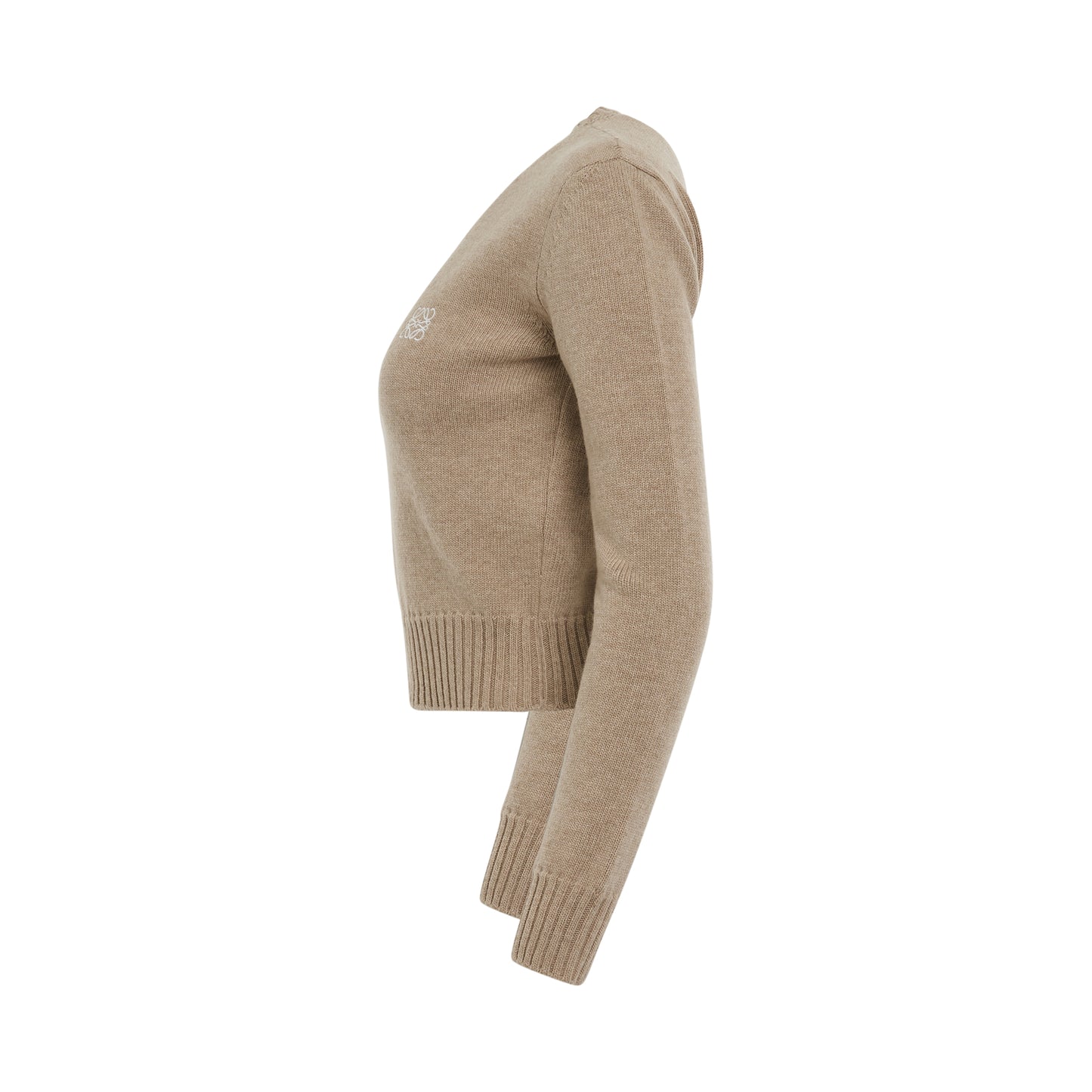 Anagram Cropped Wool Sweater in Camel