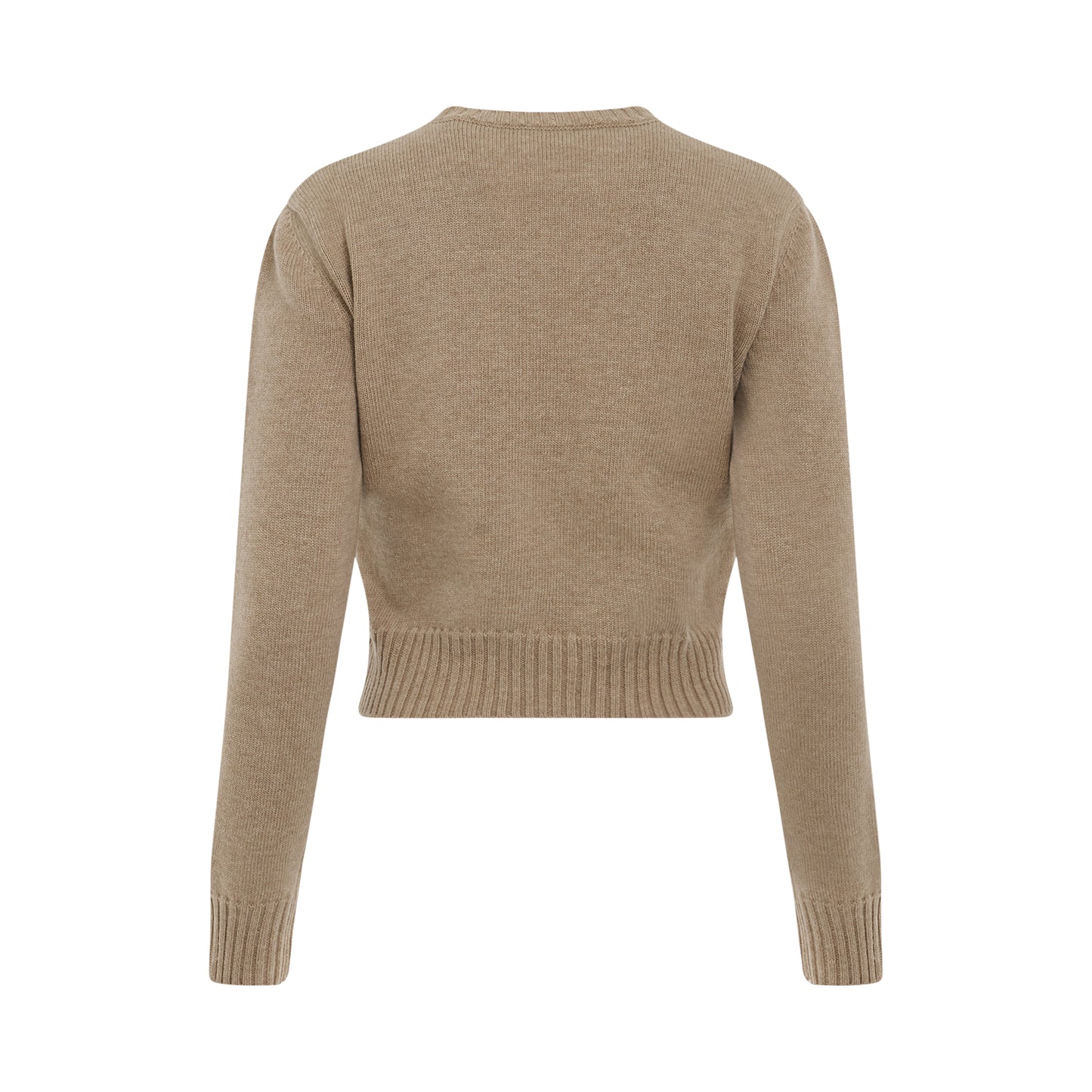 Anagram Cropped Wool Sweater in Camel