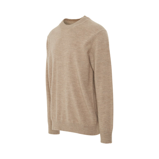 Wool and Alpaca Sweater in Beige