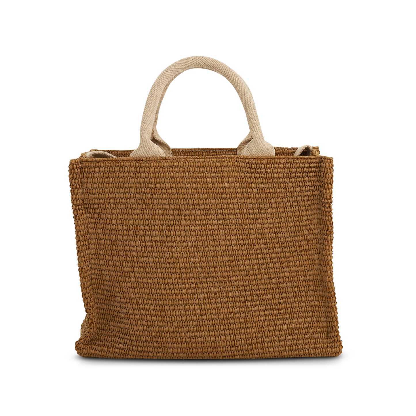 Raffia Small Tote Bag in Raw Sienna/Natural