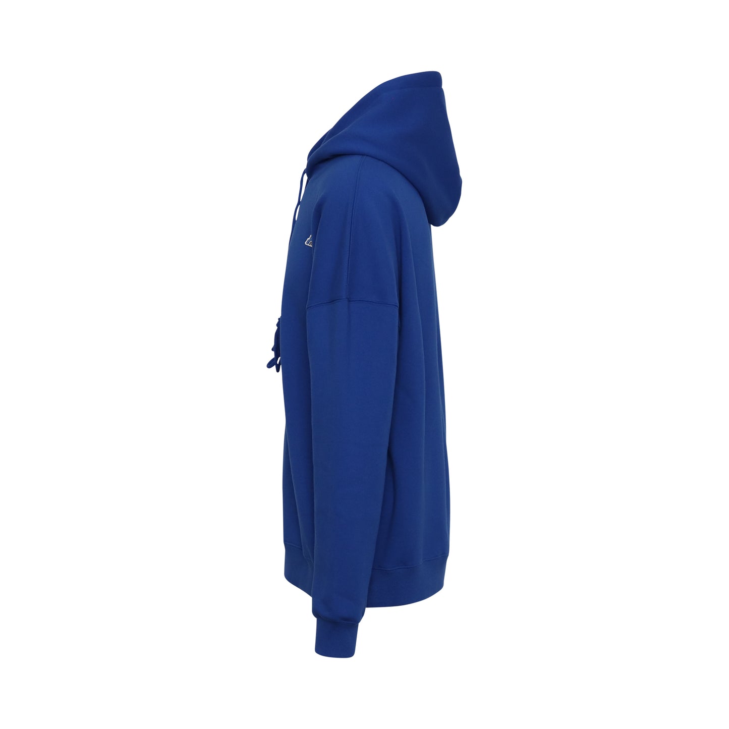 WD Embroidered Logo Hoodie in Blue