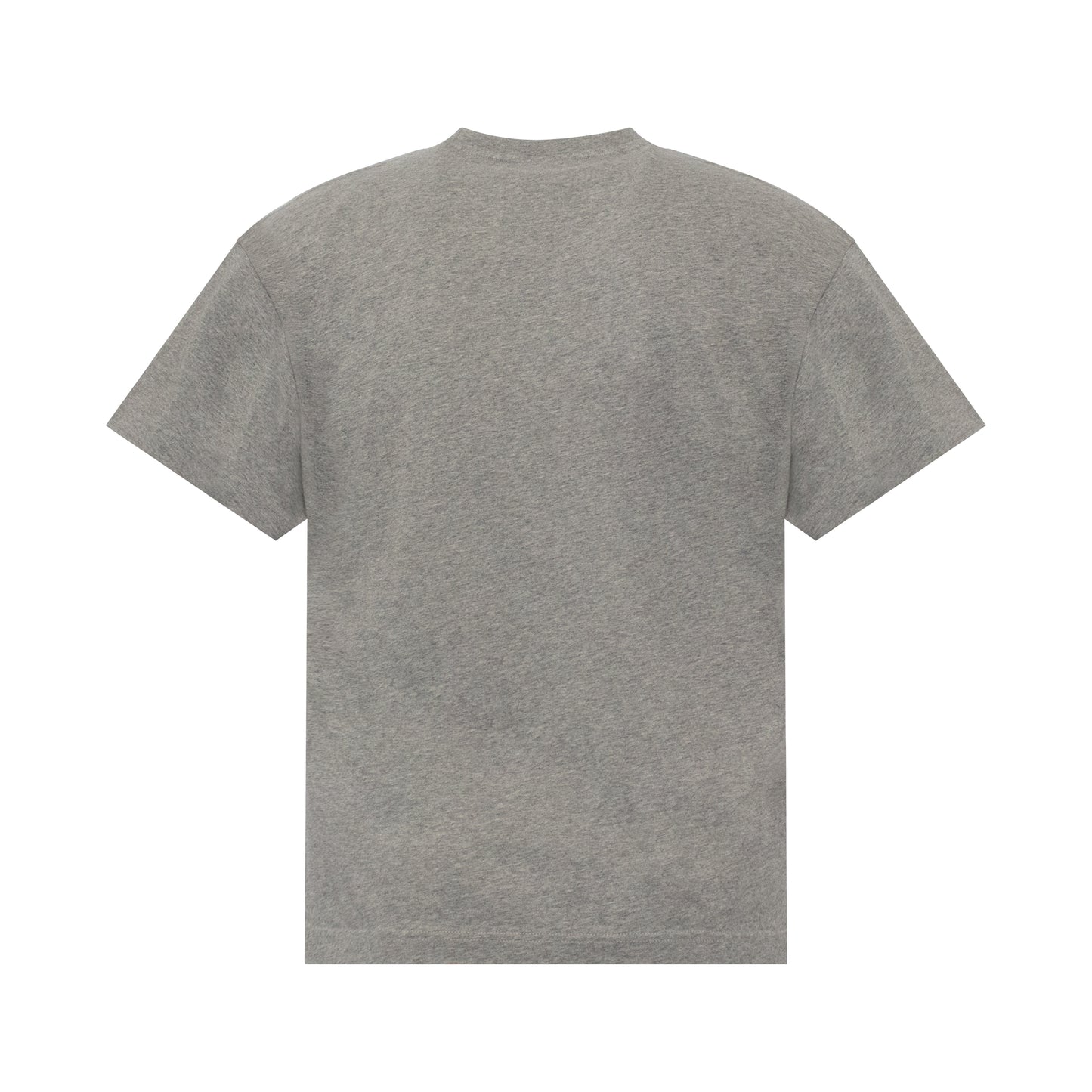 Oversize Classic Tiger T-Shirt in Pearl Grey