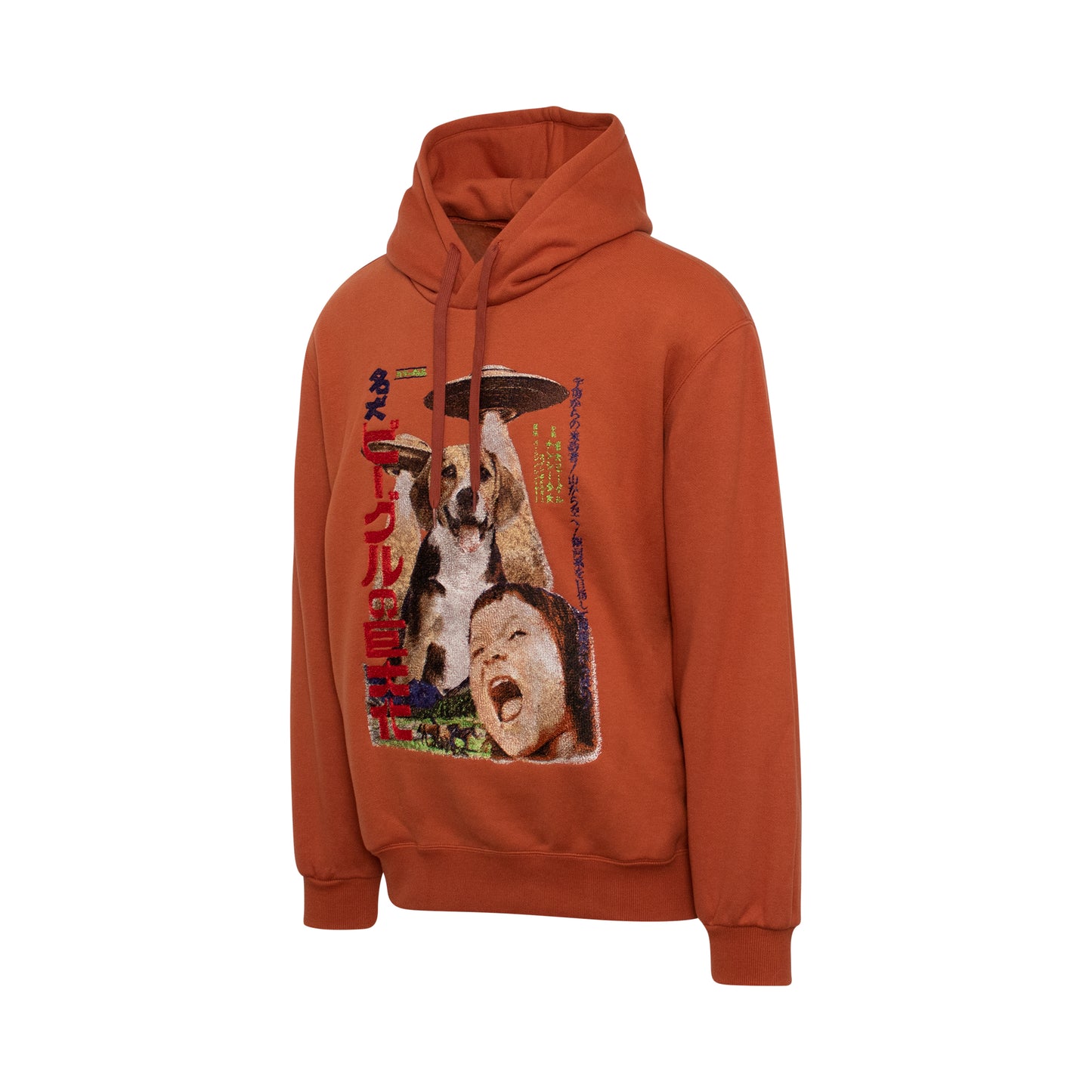 Retro Poster Embroidery Hoodie in Brown