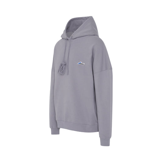 WD Embroidered Logo Hoodie in Grey