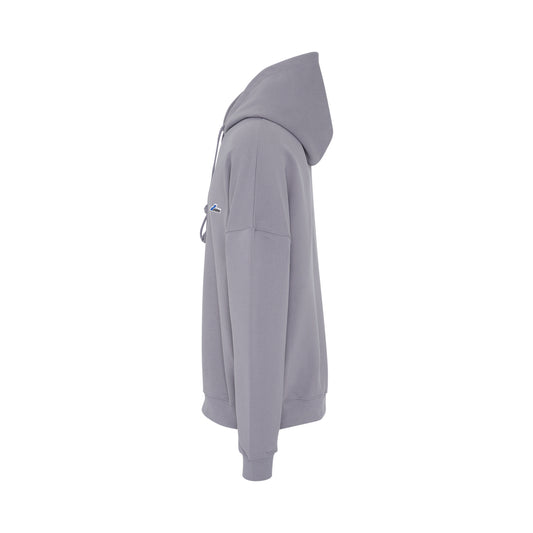 WD Embroidered Logo Hoodie in Grey